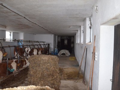 Bauernhof 2.0 02
